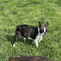 processed/8bb43e88-c990-4853-a59b-1caa7aa1e413/facility/e6de237d-ee8f-462c-82b7-d2585b7f4b0b