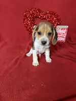 processed/8bb43e88-c990-4853-a59b-1caa7aa1e413/listing/0248fe05-8799-4865-b642-b58652b215c7/179f6f47-77c6-4a72-b282-a8d9144e0b64