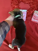 processed/8bb43e88-c990-4853-a59b-1caa7aa1e413/listing/0248fe05-8799-4865-b642-b58652b215c7/21f91c14-59bd-47a3-85bd-621a12a87e31