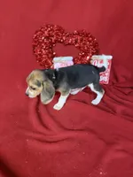 processed/8bb43e88-c990-4853-a59b-1caa7aa1e413/listing/0248fe05-8799-4865-b642-b58652b215c7/8231c2e8-9497-4a94-b594-63f8ba445a0e