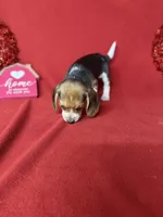 processed/8bb43e88-c990-4853-a59b-1caa7aa1e413/listing/0248fe05-8799-4865-b642-b58652b215c7/857d1a3f-a58d-4efa-8abf-11d5e5f401df