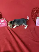 processed/8bb43e88-c990-4853-a59b-1caa7aa1e413/listing/0248fe05-8799-4865-b642-b58652b215c7/8eb23ae9-cb5a-4c8c-a032-a5a43dfbc4b8