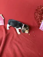 processed/8bb43e88-c990-4853-a59b-1caa7aa1e413/listing/26590130-4abe-41dd-a6f2-01d20cebf452/01525c7e-fd61-40e2-8e30-144b90b3cac8