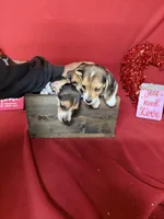 processed/8bb43e88-c990-4853-a59b-1caa7aa1e413/listing/26590130-4abe-41dd-a6f2-01d20cebf452/0198e068-ea7a-4921-b439-586aced676d6