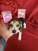 processed/8bb43e88-c990-4853-a59b-1caa7aa1e413/listing/26590130-4abe-41dd-a6f2-01d20cebf452/82348397-11bd-4b40-b5f9-7a071e946e7a