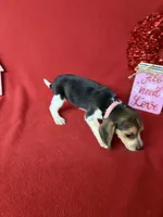 processed/8bb43e88-c990-4853-a59b-1caa7aa1e413/listing/26590130-4abe-41dd-a6f2-01d20cebf452/9d0e007c-cfd4-47c5-85b5-f7d9dba585bc