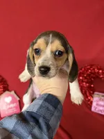 processed/8bb43e88-c990-4853-a59b-1caa7aa1e413/listing/26590130-4abe-41dd-a6f2-01d20cebf452/eb02c07a-570c-44c4-831c-87a7d37e16dd