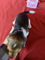 processed/8bb43e88-c990-4853-a59b-1caa7aa1e413/listing/8f93180b-e499-4f05-a64d-a2c890881779/c7da5e0b-49ed-48a7-803a-f6bbca07cf6d