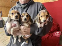 processed/8bb43e88-c990-4853-a59b-1caa7aa1e413/listing/8f93180b-e499-4f05-a64d-a2c890881779/fdc0b9f0-0b87-4707-b0ba-90906702766c