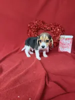 processed/8bb43e88-c990-4853-a59b-1caa7aa1e413/listing/9b1f09be-d6ee-4eae-be66-a287d6c1f862/0d14c60b-ca51-45cf-9d61-4150e3969248