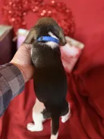 processed/8bb43e88-c990-4853-a59b-1caa7aa1e413/listing/9b1f09be-d6ee-4eae-be66-a287d6c1f862/1a8fe91e-6249-4828-a960-5c16e6fddf2e