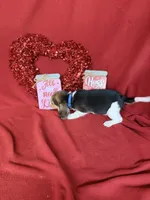 processed/8bb43e88-c990-4853-a59b-1caa7aa1e413/listing/9b1f09be-d6ee-4eae-be66-a287d6c1f862/1f3df941-7869-4a71-9c90-b94e08112037