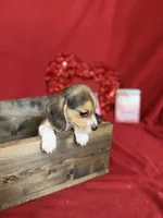 processed/8bb43e88-c990-4853-a59b-1caa7aa1e413/listing/9b1f09be-d6ee-4eae-be66-a287d6c1f862/842e1db5-271e-46a0-a86c-1705271f2e63