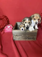 processed/8bb43e88-c990-4853-a59b-1caa7aa1e413/listing/9b1f09be-d6ee-4eae-be66-a287d6c1f862/9b2dd8e0-e8d5-4561-bca5-e2cc39f653fb