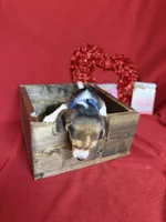 processed/8bb43e88-c990-4853-a59b-1caa7aa1e413/listing/9b1f09be-d6ee-4eae-be66-a287d6c1f862/b415d10f-26d0-4e35-beb7-e17513f58408