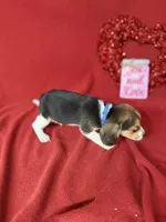 processed/8bb43e88-c990-4853-a59b-1caa7aa1e413/listing/9b1f09be-d6ee-4eae-be66-a287d6c1f862/d97173c8-d425-4593-9ae6-be603d68bd21