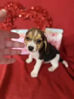 processed/8bb43e88-c990-4853-a59b-1caa7aa1e413/listing/9b1f09be-d6ee-4eae-be66-a287d6c1f862/d9a0770c-fb64-439a-8d7a-be2de3db9f22