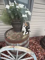 Quinn, a male Beagle for sale in Benton, IL – 9 of 10