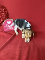 processed/8bb43e88-c990-4853-a59b-1caa7aa1e413/listing/c4d71e60-4e51-48ac-bea3-488e79c1fd9f/628907b3-57d8-4e6b-81c8-624847839a55