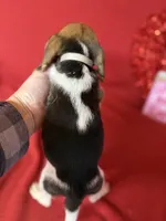 processed/8bb43e88-c990-4853-a59b-1caa7aa1e413/listing/c4d71e60-4e51-48ac-bea3-488e79c1fd9f/8ce0b800-cc9c-4281-8c4f-3e7dbe57e76b