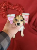 processed/8bb43e88-c990-4853-a59b-1caa7aa1e413/listing/c4d71e60-4e51-48ac-bea3-488e79c1fd9f/b866da2f-e127-4a1e-abfb-d120e221032a