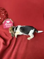 processed/8bb43e88-c990-4853-a59b-1caa7aa1e413/listing/c4d71e60-4e51-48ac-bea3-488e79c1fd9f/e52b6ad4-ab38-4568-ae6e-94329a97240a