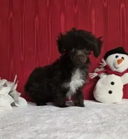 processed/8bb54a89-b60d-460c-a43d-c07b1dc59910/listing/82f1da71-53c2-4260-9a19-29c4acd64ff3/08f53d13-be4b-4e1f-94be-d3a461a0eab2