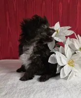 processed/8bb54a89-b60d-460c-a43d-c07b1dc59910/listing/82f1da71-53c2-4260-9a19-29c4acd64ff3/84307e8c-187c-484d-a930-9f7e79869a07