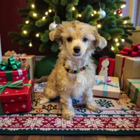 processed/8bc694bc-6df7-43fc-9727-c1aec4aa4e0e/listing/424e1f01-53b3-4236-b850-07917cd6bb8f/3955e891-af14-498b-963b-58addcdae691