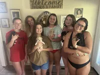 Trip, a male Shorkie for sale in Gulfport, MS – 4 of 5