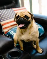 processed/8bec44a8-597c-46f1-8677-901cb519f9db/facility/12804743-47ec-447a-9185-0e6b7f5b6240