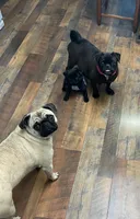 processed/8bec44a8-597c-46f1-8677-901cb519f9db/facility/63ca0ddc-98f7-42aa-93da-852671bd60f3