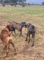 processed/8bec44a8-597c-46f1-8677-901cb519f9db/facility/83fa0e0e-5bba-4151-9cc9-037efd6b74f5