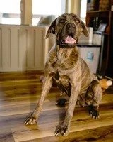 processed/8bec44a8-597c-46f1-8677-901cb519f9db/facility/9e74896c-e706-4e5b-bf67-803d8396c5da