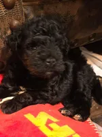 processed/8c0347f7-285a-48c5-86cb-bd40c8af1e38/facility/14835d77-56e5-4c6f-808d-873912eec52b