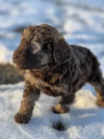 processed/8c0733af-463b-4ca1-ac50-660263b55292/listing/3f07d993-21d4-4074-80d6-29b2d9485396/1f1009d4-9bf6-47fb-bd4f-fdd643a0bbc1