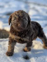 processed/8c0733af-463b-4ca1-ac50-660263b55292/listing/3f07d993-21d4-4074-80d6-29b2d9485396/50718f23-a05c-4cb5-aeb7-cfecbf9100c2