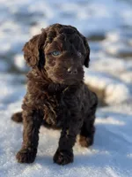 processed/8c0733af-463b-4ca1-ac50-660263b55292/listing/55b1e469-2ee7-4742-942a-25fa361671aa/0347493f-f57d-457c-bcdf-1e0739ecf732