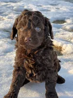 processed/8c0733af-463b-4ca1-ac50-660263b55292/listing/55b1e469-2ee7-4742-942a-25fa361671aa/b6918875-cd3b-4163-a04d-113347e6e94f