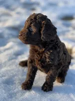 processed/8c0733af-463b-4ca1-ac50-660263b55292/listing/55b1e469-2ee7-4742-942a-25fa361671aa/c688845b-ff72-4ce3-bf7c-e0ec3c37c575