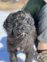 processed/8c0733af-463b-4ca1-ac50-660263b55292/listing/e3cedace-c4cb-4ac9-91d8-224015729589/2bb15762-465f-40de-b520-fcebe32d63e1