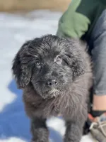 processed/8c0733af-463b-4ca1-ac50-660263b55292/listing/e3cedace-c4cb-4ac9-91d8-224015729589/f227504c-ec91-4c9e-8c31-78f61f5a5ef6