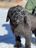 processed/8c0733af-463b-4ca1-ac50-660263b55292/listing/e3cedace-c4cb-4ac9-91d8-224015729589/f5588b57-a578-4624-a913-d31374b621e0