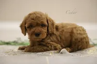 processed/8c15823e-1b06-4c0c-b1e7-f64ee5011dd9/listing/74bd8d7a-f22e-4ada-b92d-56b66048e1ce/28807a2b-6e32-46b2-89b0-55e36aac060a