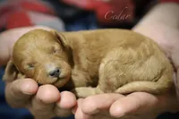 processed/8c15823e-1b06-4c0c-b1e7-f64ee5011dd9/listing/74bd8d7a-f22e-4ada-b92d-56b66048e1ce/af3379cd-a940-473b-a998-0ae15b4ef92e