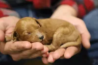 processed/8c15823e-1b06-4c0c-b1e7-f64ee5011dd9/listing/74bd8d7a-f22e-4ada-b92d-56b66048e1ce/e959d32b-dd2f-4d86-a9a1-8f97c454b98f