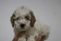 processed/8c15823e-1b06-4c0c-b1e7-f64ee5011dd9/listing/9f6673dd-0a0e-4dbf-8400-38ca274c1db6/1a6c06de-5796-4d3d-8525-74b2a2bfbc8b