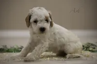 processed/8c15823e-1b06-4c0c-b1e7-f64ee5011dd9/listing/9f6673dd-0a0e-4dbf-8400-38ca274c1db6/5a402baa-9741-4650-a80c-aac63d70a57e