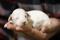 processed/8c15823e-1b06-4c0c-b1e7-f64ee5011dd9/listing/9f6673dd-0a0e-4dbf-8400-38ca274c1db6/e96dde42-4a32-4126-9015-3abf560688c5