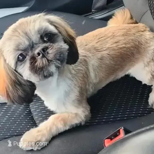 processed/8c1a2e81-920e-4b36-b569-855450be6007/facility/30b20422-9ab8-433b-9864-2f7ff41670bc